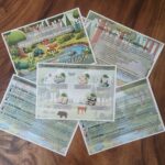 Waldschatzsuche-Cover,staltete Einladungskarte mit Waldmotiven und Platz für individuelle Angaben, um Kinder zum Abenteuer im Wald einzuladen.